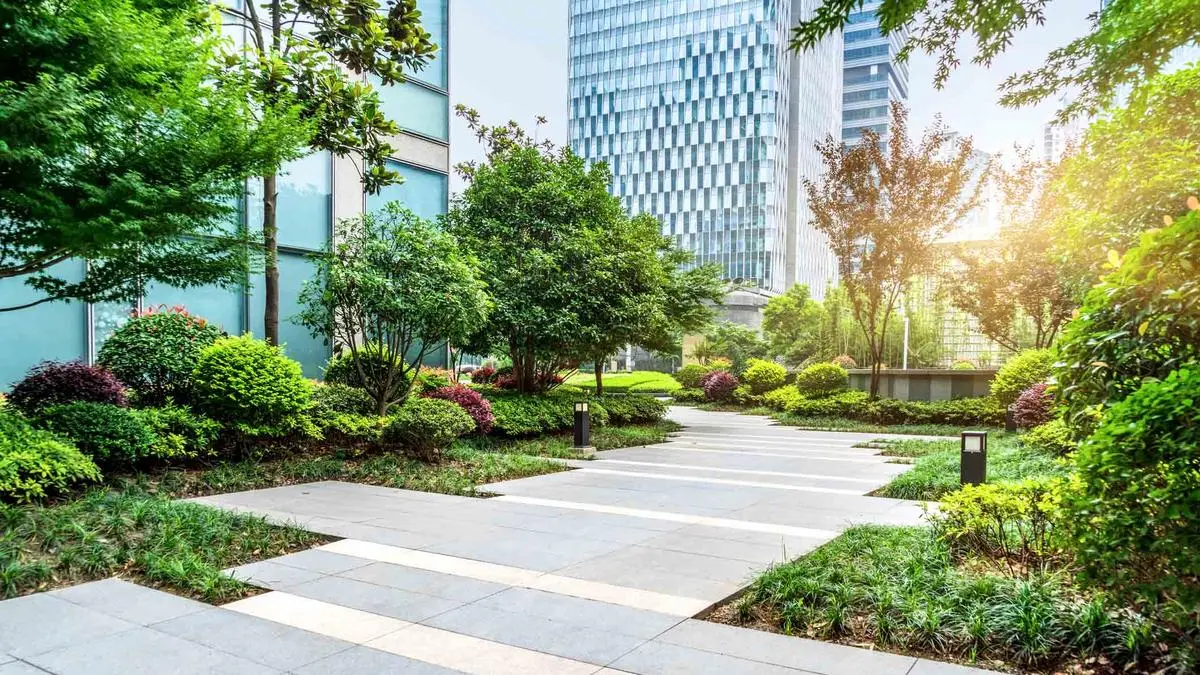 Leasing of green office spaces rises 20% in 2024 across top 6 cities: Credai-Colliers report